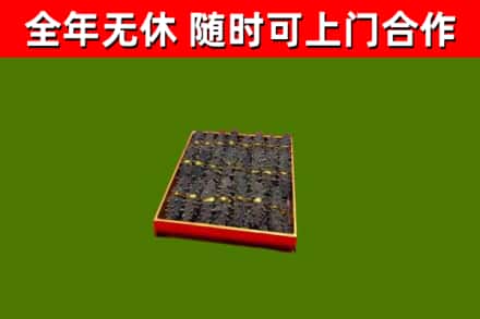 城区回收海参